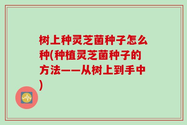 树上种灵芝菌种子怎么种(种植灵芝菌种子的方法——从树上到手中)
