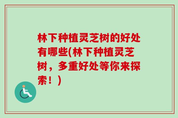 林下种植灵芝树的好处有哪些(林下种植灵芝树，多重好处等你来探索！)