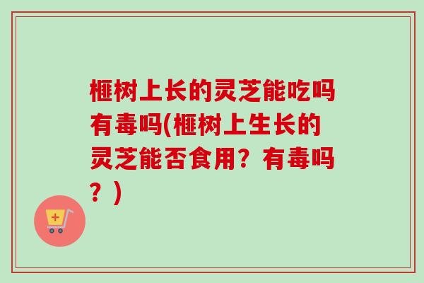 榧树上长的灵芝能吃吗有毒吗(榧树上生长的灵芝能否食用？有毒吗？)