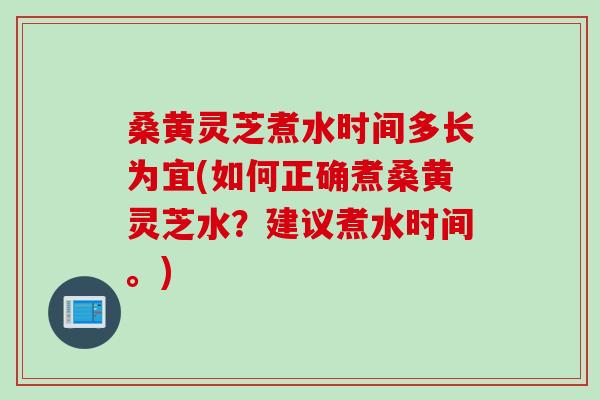 桑黄灵芝煮水时间多长为宜(如何正确煮桑黄灵芝水？建议煮水时间。)