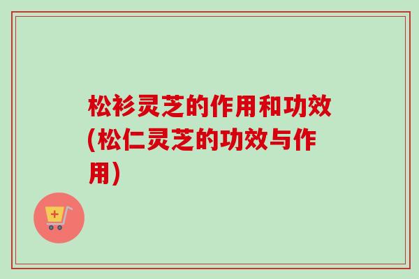 松衫灵芝的作用和功效(松仁灵芝的功效与作用)