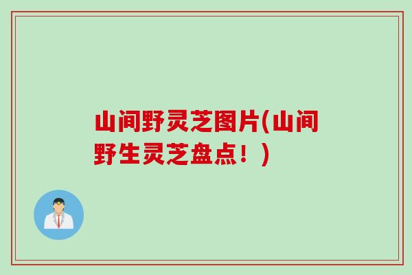 山间野灵芝图片(山间野生灵芝盘点！)