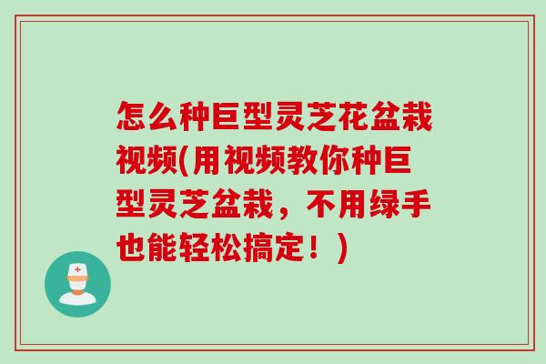 怎么种巨型灵芝花盆栽视频(用视频教你种巨型灵芝盆栽，不用绿手也能轻松搞定！)