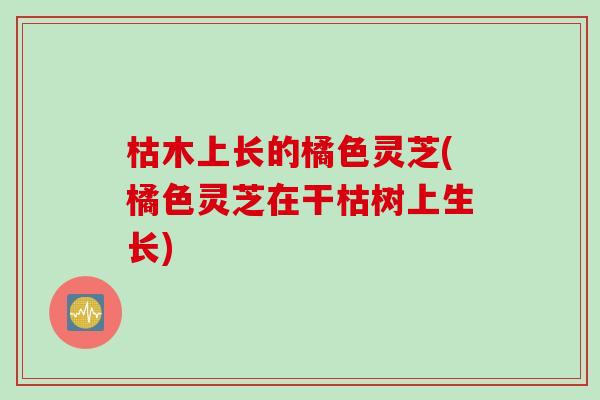 枯木上长的橘色灵芝(橘色灵芝在干枯树上生长)