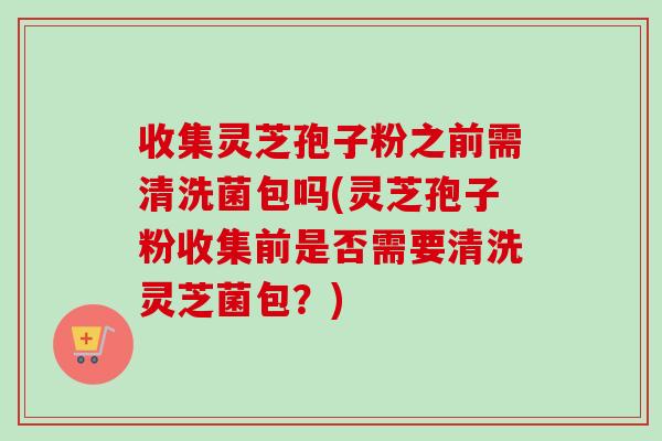 收集灵芝孢子粉之前需清洗菌包吗(灵芝孢子粉收集前是否需要清洗灵芝菌包？)