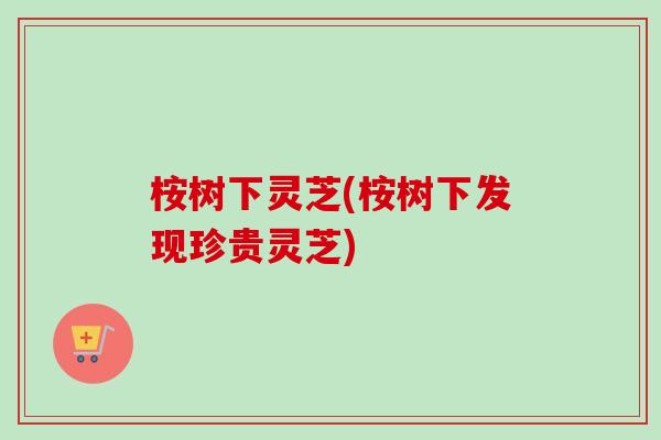 桉树下灵芝(桉树下发现珍贵灵芝)