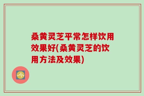 桑黄灵芝平常怎样饮用效果好(桑黄灵芝的饮用方法及效果)