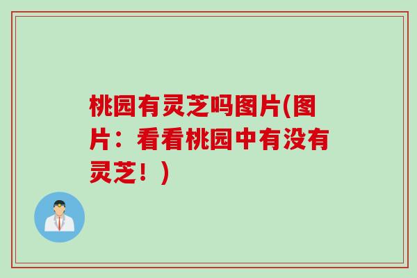 桃园有灵芝吗图片(图片：看看桃园中有没有灵芝！)