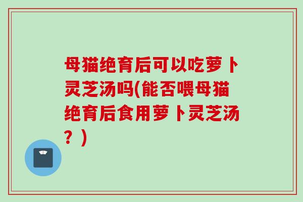 母猫绝育后可以吃萝卜灵芝汤吗(能否喂母猫绝育后食用萝卜灵芝汤？)