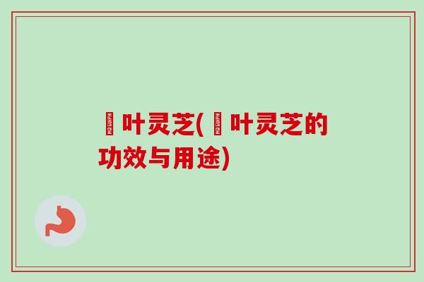 氿叶灵芝(氿叶灵芝的功效与用途)
