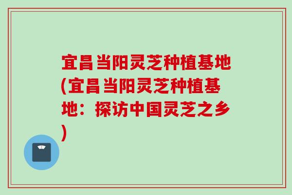 宜昌当阳灵芝种植基地(宜昌当阳灵芝种植基地：探访中国灵芝之乡)