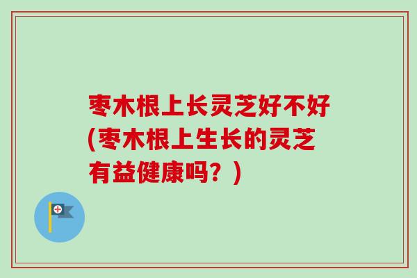 枣木根上长灵芝好不好(枣木根上生长的灵芝有益健康吗？)