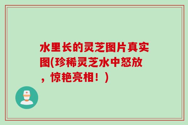 水里长的灵芝图片真实图(珍稀灵芝水中怒放，惊艳亮相！)