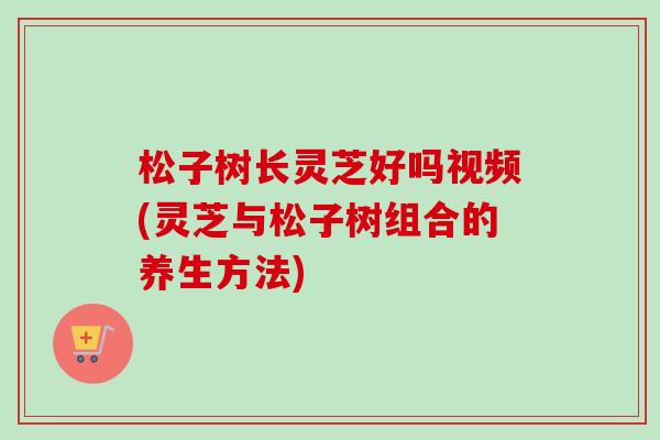 松子树长灵芝好吗视频(灵芝与松子树组合的养生方法) 松子树长灵芝好吗视频(灵芝与松子树组合的养生方法)
