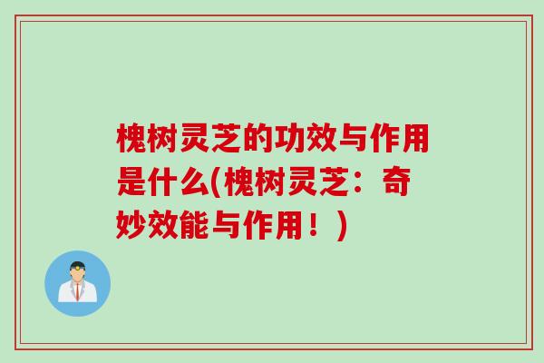 槐树灵芝的功效与作用是什么(槐树灵芝：奇妙效能与作用！)
