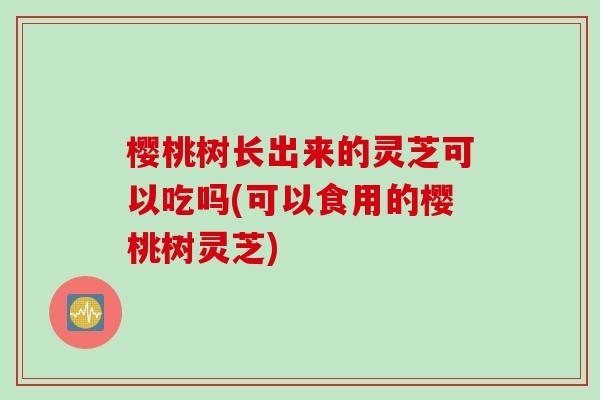樱桃树长出来的灵芝可以吃吗(可以食用的樱桃树灵芝)