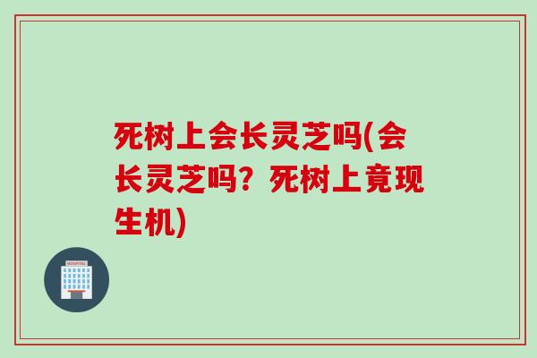 死树上会长灵芝吗(会长灵芝吗？死树上竟现生机)