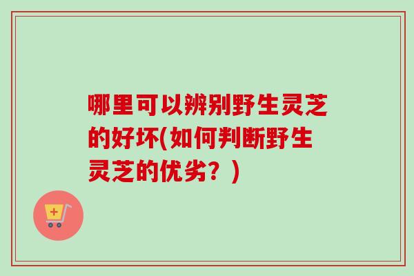 哪里可以辨别野生灵芝的好坏(如何判断野生灵芝的优劣？)