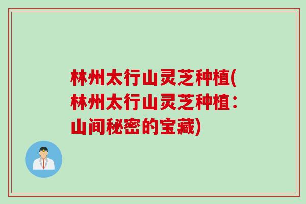 林州太行山灵芝种植(林州太行山灵芝种植：山间秘密的宝藏)