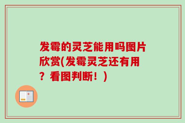 发霉的灵芝能用吗图片欣赏(发霉灵芝还有用?看图判断!) 发霉的灵芝能用吗图片欣赏(发霉灵芝还有用?看图判断!)