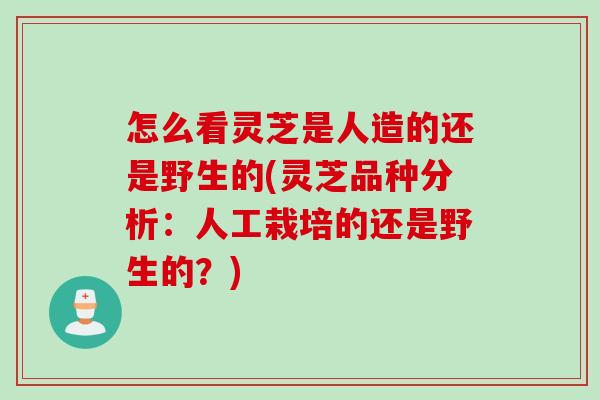 怎么看灵芝是人造的还是野生的(灵芝品种分析：人工栽培的还是野生的？)