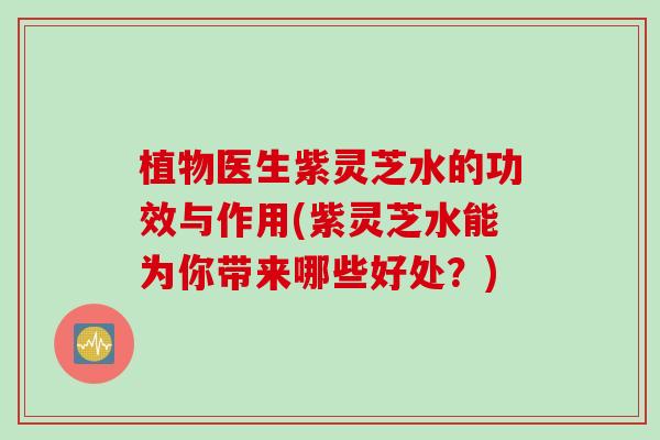 植物医生紫灵芝水的功效与作用(紫灵芝水能为你带来哪些好处?) 植物医生紫灵芝水的功效与作用(紫灵芝水能为你带来哪些好处?)