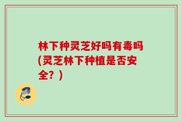 林下种灵芝好吗有毒吗(灵芝林下种植是否安全？)