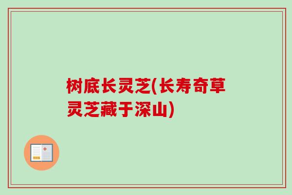 树底长灵芝(长寿奇草灵芝藏于深山)