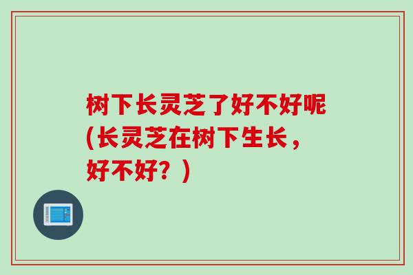 树下长灵芝了好不好呢(长灵芝在树下生长，好不好？)