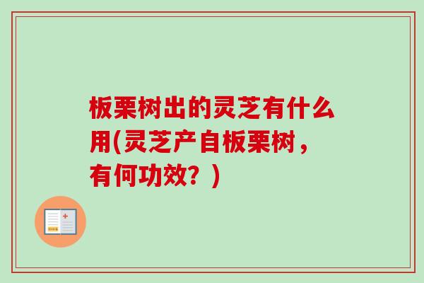 板栗树出的灵芝有什么用(灵芝产自板栗树，有何功效？)