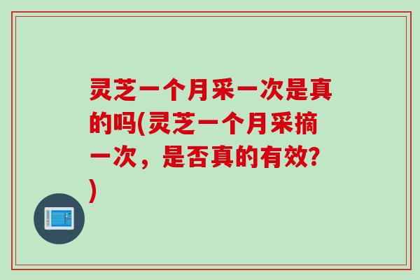 灵芝一个月采一次是真的吗(灵芝一个月采摘一次，是否真的有效？)