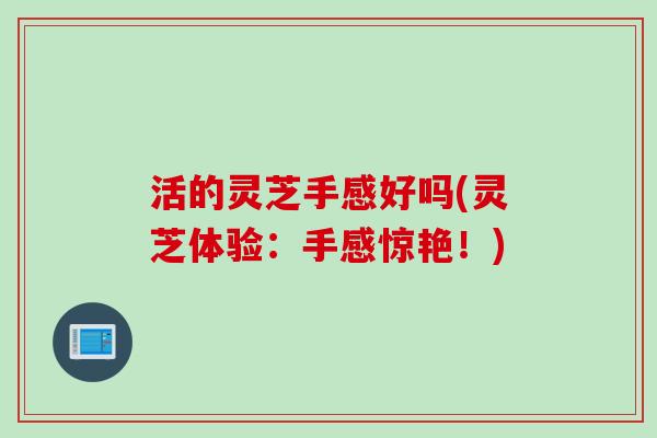活的灵芝手感好吗(灵芝体验:手感惊艳!) 活的灵芝手感好吗(灵芝体验:手感惊艳!)