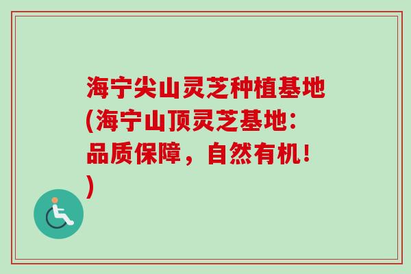 海宁尖山灵芝种植基地(海宁山顶灵芝基地：品质保障，自然有机！)