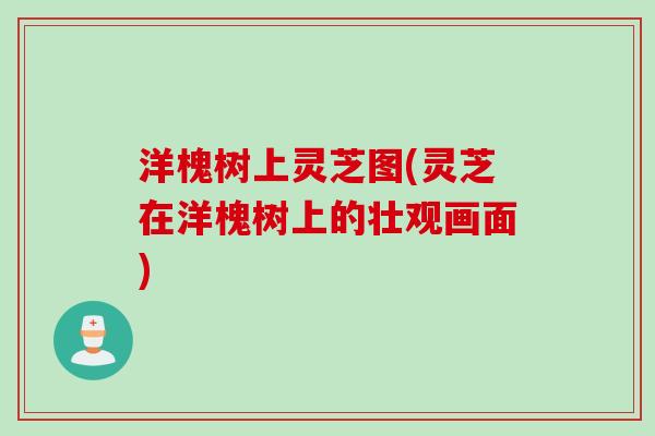 洋槐树上灵芝图(灵芝在洋槐树上的壮观画面)