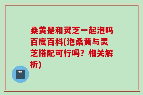 桑黄是和灵芝一起泡吗百度百科(泡桑黄与灵芝搭配可行吗？相关解析)