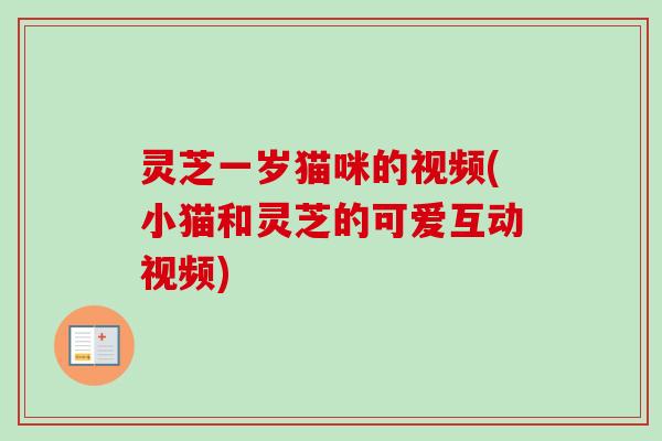 灵芝一岁猫咪的视频(小猫和灵芝的可爱互动视频)