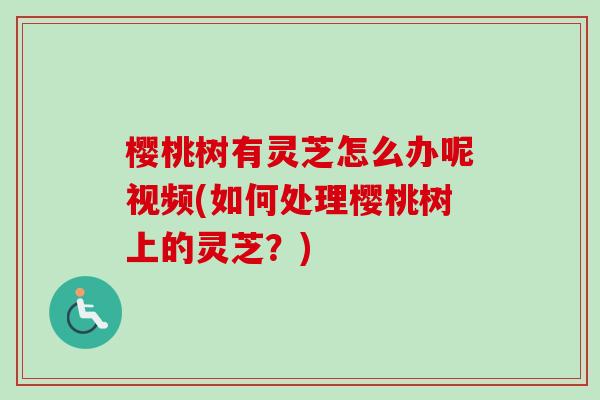 樱桃树有灵芝怎么办呢视频(如何处理樱桃树上的灵芝？)