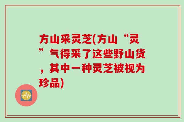 方山采灵芝(方山“灵”气得采了这些野山货，其中一种灵芝被视为珍品)
