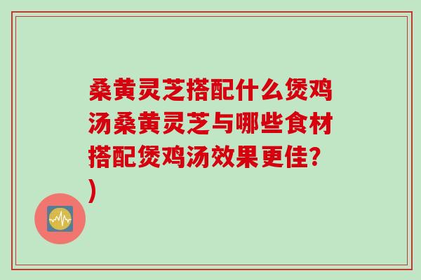桑黄灵芝搭配什么煲鸡汤桑黄灵芝与哪些食材搭配煲鸡汤效果更佳？)