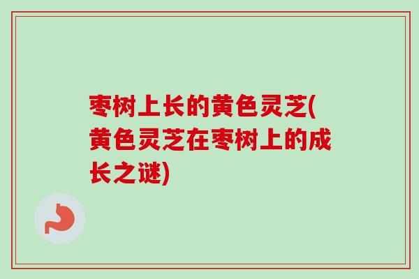 枣树上长的黄色灵芝(黄色灵芝在枣树上的成长之谜)