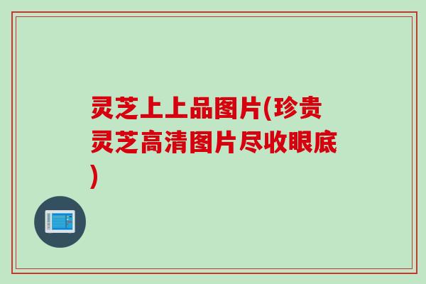 灵芝上上品图片(珍贵灵芝高清图片尽收眼底)