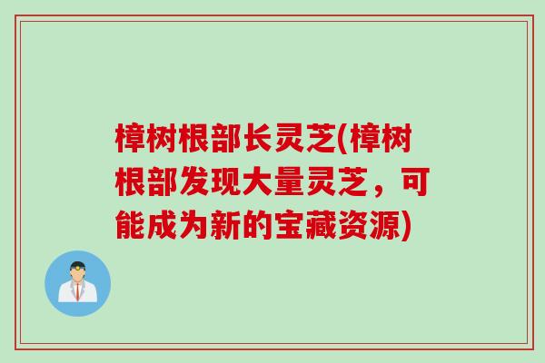 樟树根部长灵芝(樟树根部发现大量灵芝，可能成为新的宝藏资源)