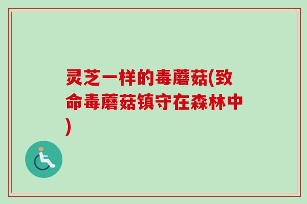灵芝一样的毒蘑菇(致命毒蘑菇镇守在森林中)