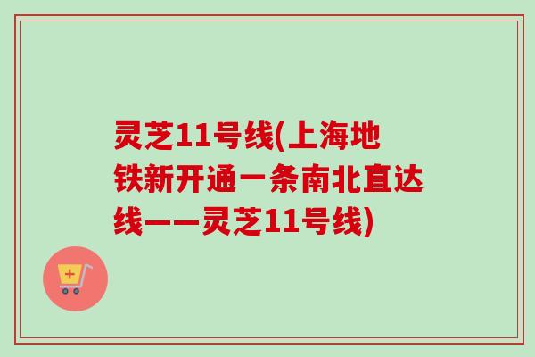 灵芝11号线(上海地铁新开通一条南北直达线——灵芝11号线)