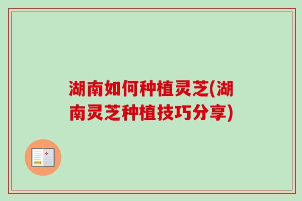 湖南如何种植灵芝(湖南灵芝种植技巧分享)