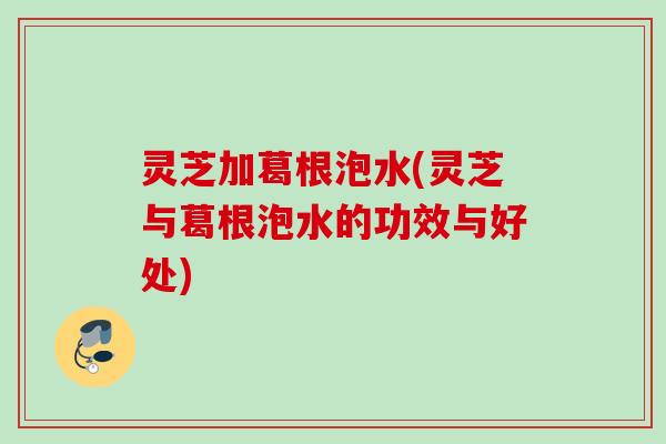 灵芝加葛根泡水(灵芝与葛根泡水的功效与好处)
