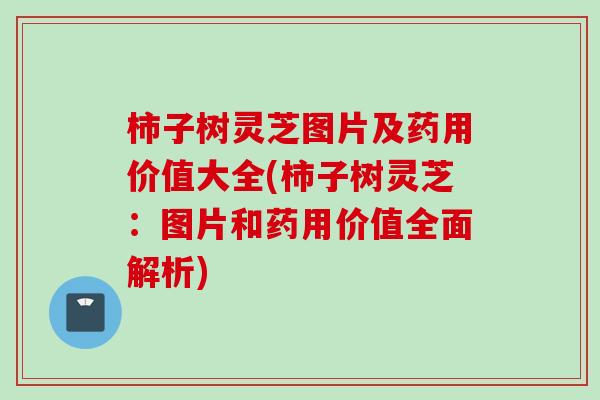 柿子树灵芝图片及药用价值大全(柿子树灵芝：图片和药用价值全面解析)