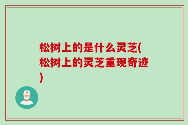 松树上的是什么灵芝(松树上的灵芝重现奇迹)