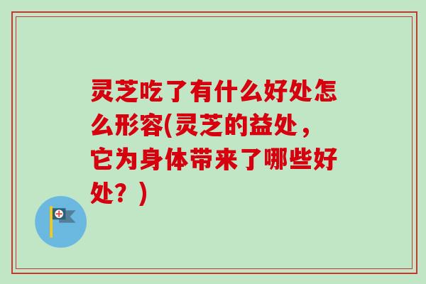 灵芝吃了有什么好处怎么形容(灵芝的益处,它为身体带来了哪些好处?) 灵芝吃了有什么好处怎么形容(灵芝的益处,它为身体带来了哪些好处?)