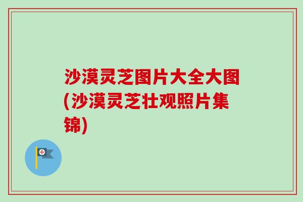 沙漠灵芝图片大全大图(沙漠灵芝壮观照片集锦) 沙漠灵芝图片大全大图(沙漠灵芝壮观照片集锦)